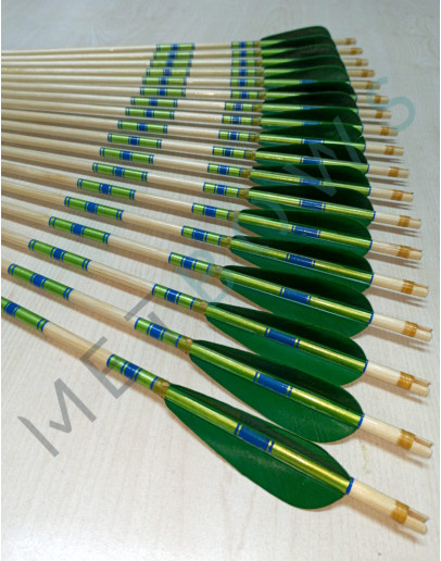 Premium Arrow - 1051